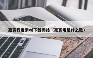临猗寂寞行走素材下载网站（寂寞走是什么歌）